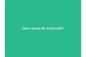 [Hot Item] W-20231067