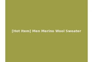[Hot Item] Men Merino Wool Sweater