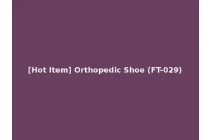 [Hot Item] Orthopedic Shoe (FT-029)