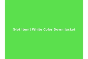 [Hot Item] White Color Down Jacket