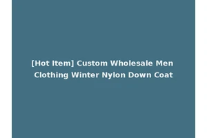 [Hot Item] Custom Wholesale Men Clothing Winter Nylon Down Coat