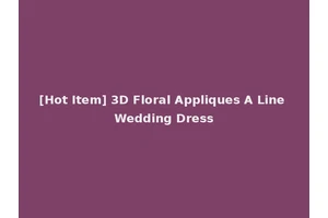 [Hot Item] 3D Floral Appliques A Line Wedding Dress