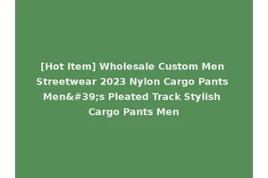 [Hot Item] Wholesale Custom Men Streetwear 2023 Nylon Cargo Pants Men's Pleated Track Stylish Cargo Pants Men