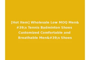 [Hot Item] Wholesale Low MOQ Men's Tennis Badminton Shoes Customized Comfortable and Breathable Men's Shoes