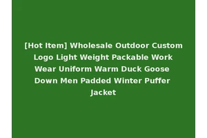 [Hot Item] Wholesale Outdoor Custom Logo Light Weight Packable Work Wear Uniform Warm Duck Goose Down Men Padded Winter Puffer Jacket