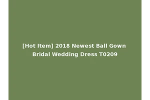 [Hot Item] 2018 Newest Ball Gown Bridal Wedding Dress T0209