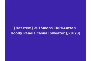 [Hot Item] 2015mens 100%Cotton Hoody Panels Casual Sweater (J-1623)