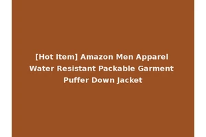 [Hot Item] Amazon Men Apparel Water Resistant Packable Garment Puffer Down Jacket