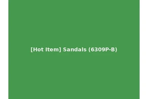 [Hot Item] Sandals (6309P-B)