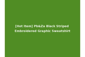 [Hot Item] Pb&Za Black Striped Embroidered Graphic Sweatshirt