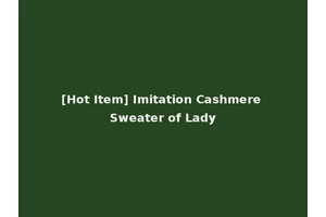 [Hot Item] Imitation Cashmere Sweater of Lady