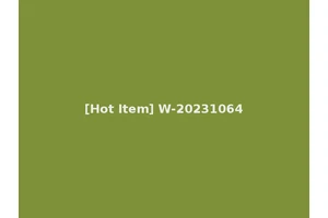 [Hot Item] W-20231064