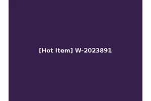 [Hot Item] W-2023891