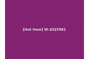 [Hot Item] W-2023981
