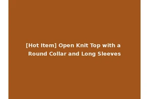 [Hot Item] Open Knit Top with a Round Collar and Long Sleeves