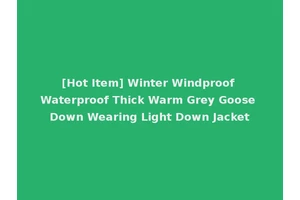 [Hot Item] Winter Windproof Waterproof Thick Warm Grey Goose Down Wearing Light Down Jacket