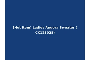 [Hot Item] Ladies Angora Sweater (CX12S028)