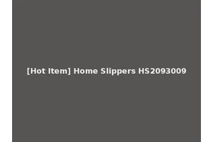 [Hot Item] Home Slippers HS2093009