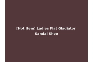 [Hot Item] Ladies Flat Gladiator Sandal Shoe