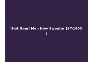 [Hot Item] Men New Sweater (SY-1905)