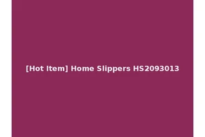 [Hot Item] Home Slippers HS2093013