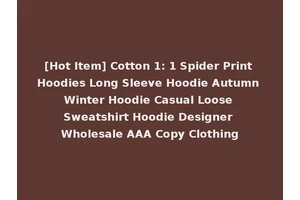 [Hot Item] Cotton 1: 1 Spider Print Hoodies Long Sleeve Hoodie Autumn Winter Hoodie Casual Loose Sweatshirt Hoodie Designer Wholesale AAA Copy Clothing