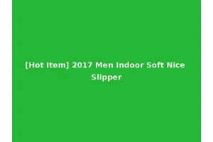 [Hot Item] 2017 Men Indoor Soft Nice Slipper