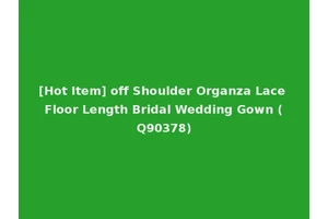 [Hot Item] off Shoulder Organza Lace Floor Length Bridal Wedding Gown (Q90378)