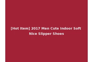 [Hot Item] 2017 Men Cute Indoor Soft Nice Slipper Shoes