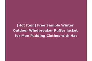 [Hot Item] Free Sample Winter Outdoor Windbreaker Puffer Jacket for Men Padding Clothes with Hat