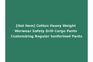 [Hot Item] Cotton Heavy Weight Worwear Safety Drill Cargo Pants Customizing Regular Sanforised Pants