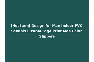 [Hot Item] Design for Man Indoor PVC Sandals Custom Logo Print Men Color Slippers