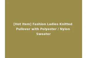 [Hot Item] Fashion Ladies Knitted Pullover with Polyester / Nylon Sweater