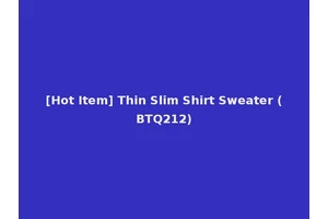 [Hot Item] Thin Slim Shirt Sweater (BTQ212)