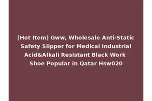 [Hot Item] Gww, Wholesale Anti-Static Safety Slipper for Medical Industrial Acid&Alkali Resistant Black Work Shoe Popular in Qatar Hsw020