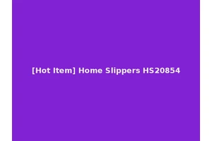 [Hot Item] Home Slippers HS20854