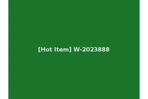 [Hot Item] W-2023888