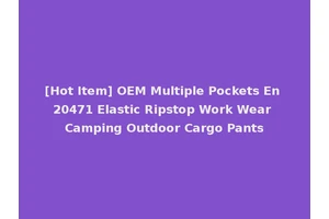 [Hot Item] OEM Multiple Pockets En 20471 Elastic Ripstop Work Wear Camping Outdoor Cargo Pants
