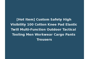 [Hot Item] Custom Safety High Visibility 100 Cotton Knee Pad Elastic Twill Multi-Function Outdoor Tactical Tooling Men Workwear Cargo Pants Trousers
