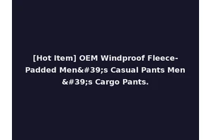 [Hot Item] OEM Windproof Fleece-Padded Men's Casual Pants Men's Cargo Pants.