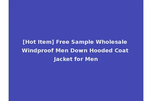 [Hot Item] Free Sample Wholesale Windproof Men Down Hooded Coat Jacket for Men