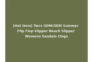 [Hot Item] Twcs ODM/OEM Summer Flip Flop Slipper Beach Slipper Womens Sandals Clogs