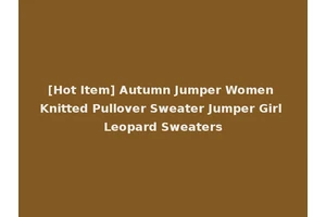 [Hot Item] Autumn Jumper Women Knitted Pullover Sweater Jumper Girl Leopard Sweaters