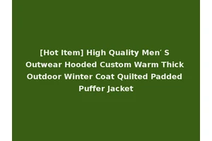 [Hot Item] High Quality Men′ S Outwear Hooded Custom Warm Thick Outdoor Winter Coat Quilted Padded Puffer Jacket