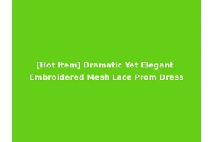 [Hot Item] Dramatic Yet Elegant Embroidered Mesh Lace Prom Dress
