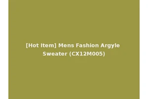 [Hot Item] Mens Fashion Argyle Sweater (CX12M005)
