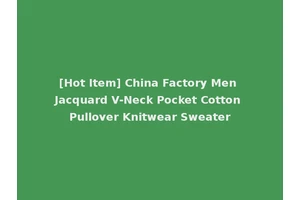 [Hot Item] China Factory Men Jacquard V-Neck Pocket Cotton Pullover Knitwear Sweater
