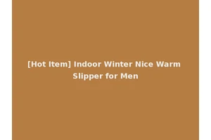 [Hot Item] Indoor Winter Nice Warm Slipper for Men