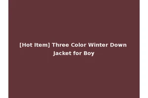 [Hot Item] Three Color Winter Down Jacket for Boy
