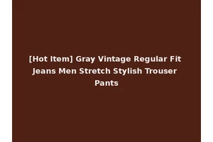 [Hot Item] Gray Vintage Regular Fit Jeans Men Stretch Stylish Trouser Pants